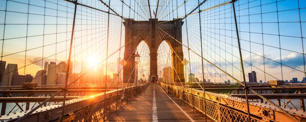 Tour privato Distretti di New York City: Brooklyn, The Bronx, Harlem e Queens con Coney Island
